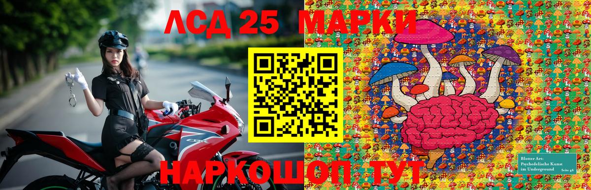 Марки 25I-NBOMe 1,5мг Лесной