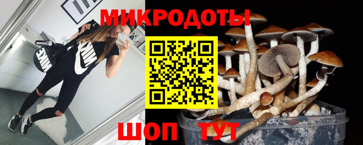 Псилоцибиновые грибы Psilocybine cubensis  Вход с VPN  Лесной 