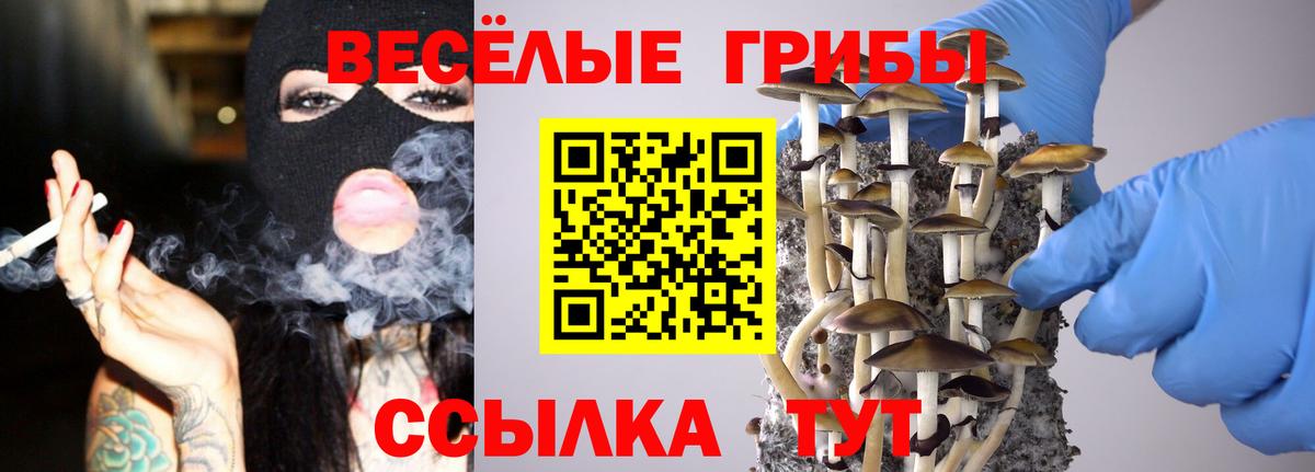 Галлюциногенные грибы MAGIC MUSHROOMS Лесной